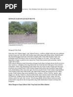 Download Pengaruh Perlakuan Mhcl Thd Pembuatan Selai Buah Mangrove by Oddie Bugis SN46657634 doc pdf