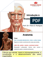 Introdução A Anatomia Imam