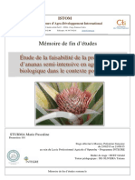 Pascaline-Production_ananas_semi_intensivered.pdf
