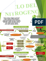 Ciclo de Nitrogeno