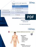 Semana 10 Aparato genital  GHB.2020