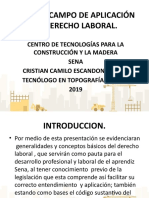 Origen y Campo de Aplicación Del Derecho Laboral