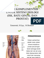 TERAPI ALTERNATIF UNTUK SISTEM UROLOGI