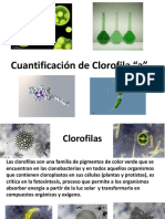 6 Clorofila PDF