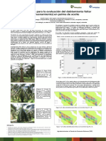 Metodologia para La Evaluacion Del Doblamiento Foliar