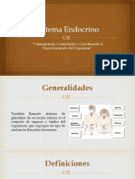 SISTEMA ENDOCRINO - RCC