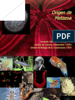 AV-origen metazoa-BIO 3
