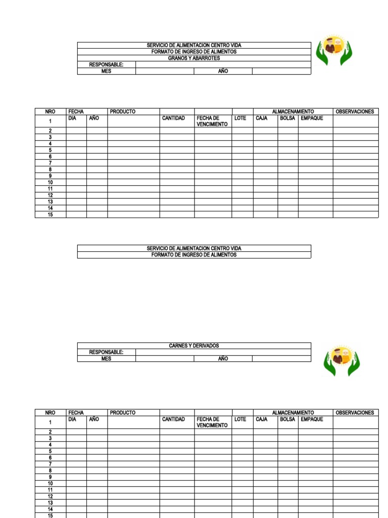 Formato de Visualización Para Excel Gratis - Slidesdocs, image size:768x1024
