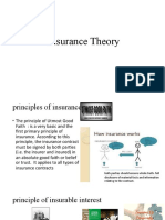 Insurance Theory