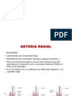 ANATOMIA