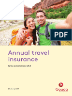 Annual Travel Insurance: Terms and Conditions 625.3