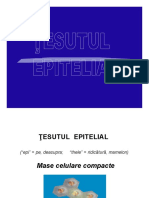 Curs 01_01_Curs Tesut Epitelial1