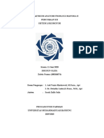 Laporan Praktikum Anatomi Fisiologi Manusia Ii - Sistem Skelet