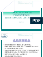 Taller Protecciones de Distribucion Tachira - Yoel