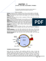 The Eye: Structure, Function, Common Defects