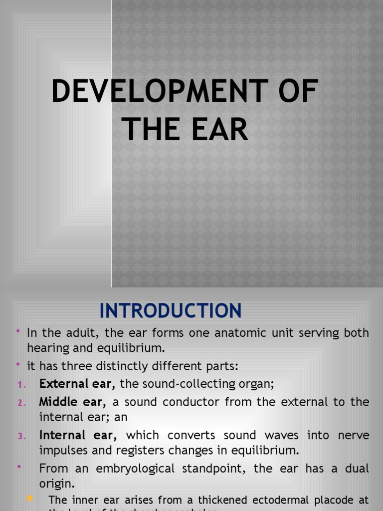 Development of the Ear: An Overview | PDF | Ear | Otorhinolaryngology