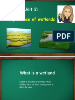 The Importance of Wetlands