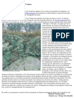 Una Introducción A Los Cactus de Uruguay (1) Con Marca de Agua PDF
