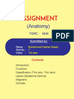 assignment skin