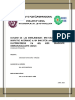 Estudios de Comunidades Bacterianas de un Biofiltro acoplado a un Digestor Anaerobio por DGGE