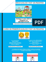 CURSORCPYPRIMEROSAUXILIOS.pdf