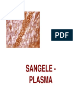 Sangele - Plasma