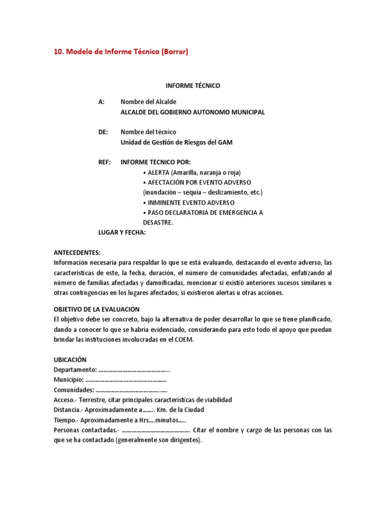Modelo de Informe Técnico | PDF | Desastres y Accidentes | Business