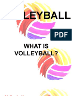 VOLLEYBALL