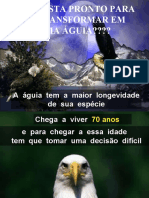 a_licao_da_aguia