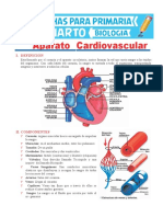 Aparato-Cardiovascular-para-Cuarto-de-Primaria
