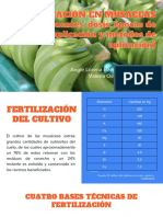 Fertilizacion en Muasaceas PDF