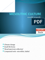 Mesolithic Culture (P1, C1)