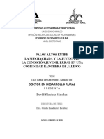 Tesis DDR David 2020 PDF