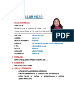 Curriculum Vitae Nayda Luz Deudor Rosales PDF