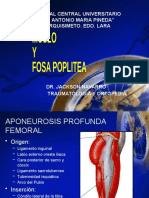 Seminario 7 de Anatomia. Muslo Fosa Poplit 1