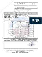 FMQ-006 Reporte Prueba de Presión Hidrostática