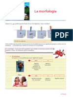 La Morfología PDF