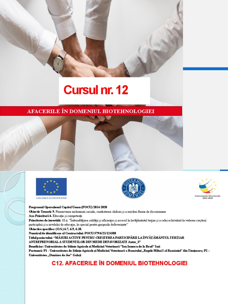 C12 Prezentare | PDF