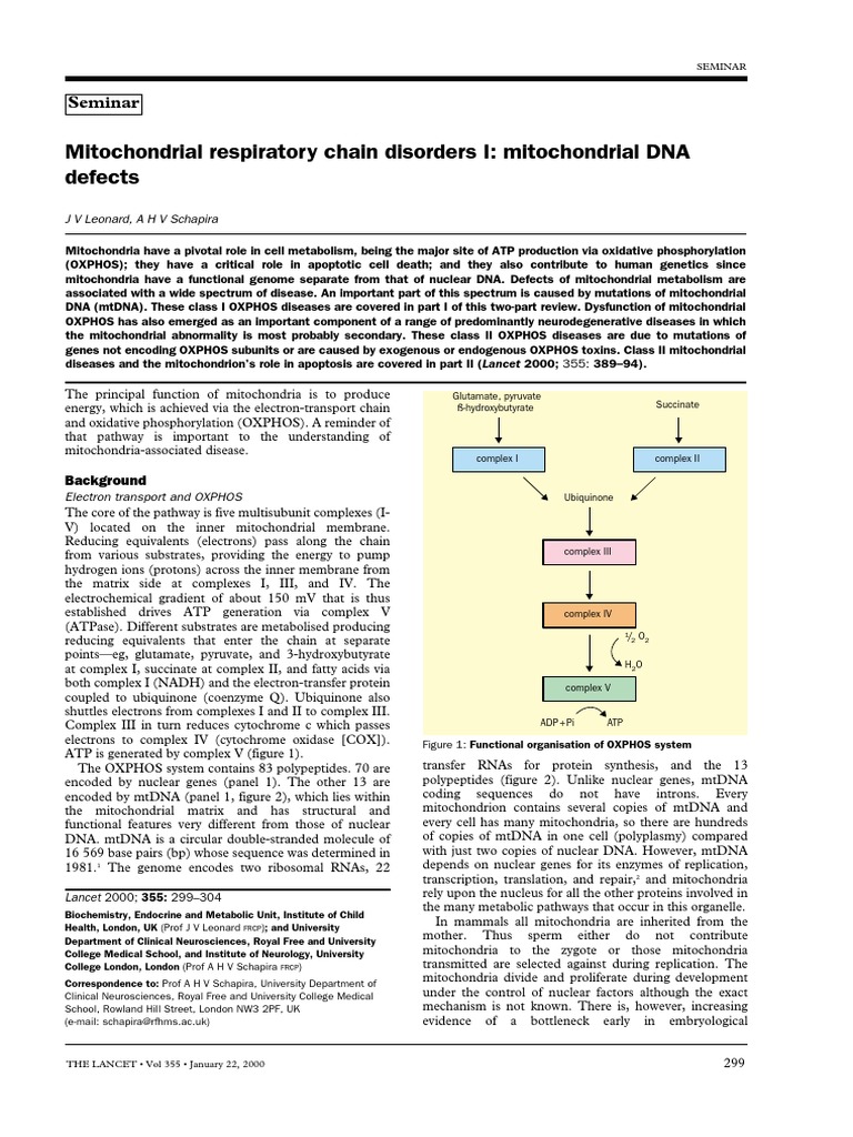 Mitochondrial Respiratory Chain Disorders I Mitochondrial DNA | PDF ...