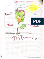 PARTES PLANTAS.pdf