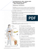 BIOLOGIA 7 - Tema 4 - Sistema linfatico.pdf