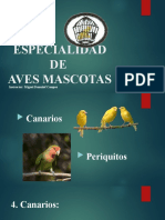 Especialidad de Aves Mascotas 1