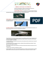 ¡Al Rescate de Los Animales Amenazados Del Perú! PDF