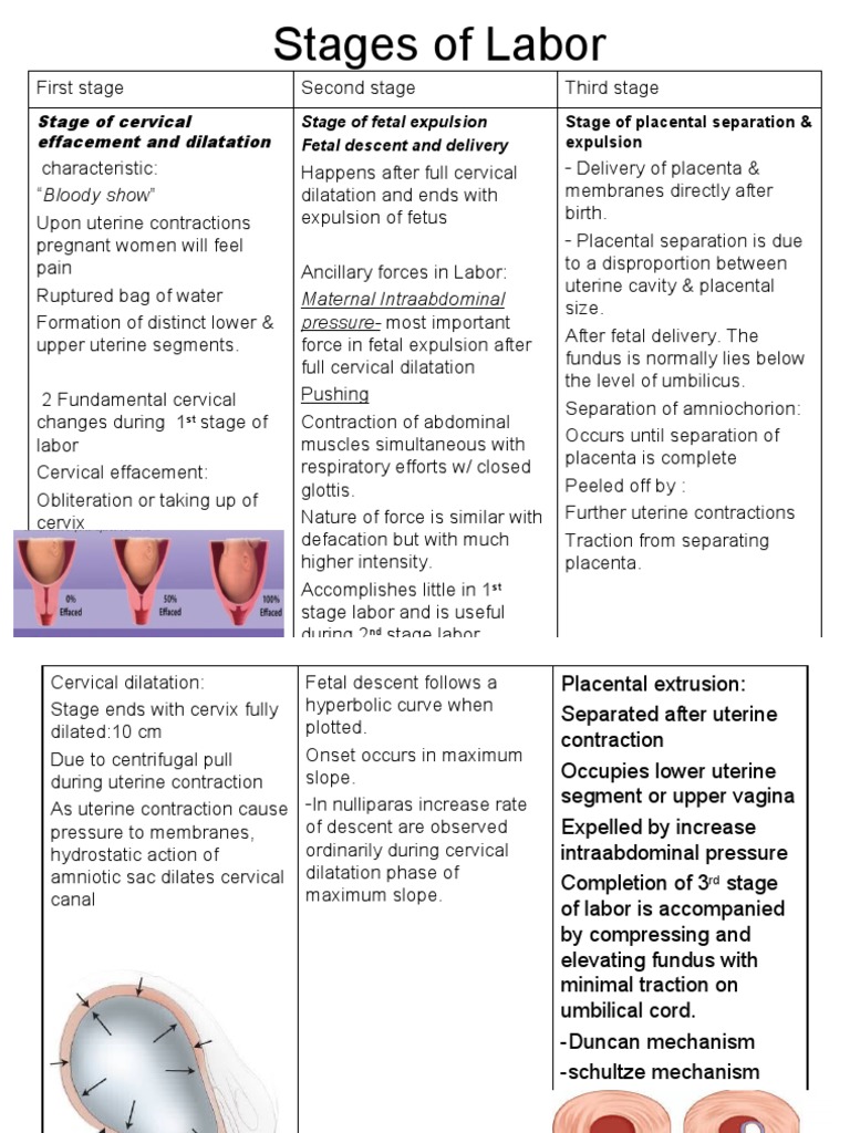 Stages of Labor Overview and Mechanisms | PDF | Uterus | Childbirth