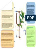 Momento 4 – Paradigmas de investigación en psicología