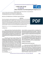 Antibacterial activity of Beauveria bassiana