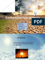 contaminacion ambiental final 