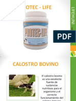 Calostro bovino: Beneficios para la salud e inmunidad