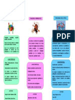 Paradigma Fase 3 Y4