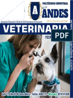 Volante Veterinaria 7